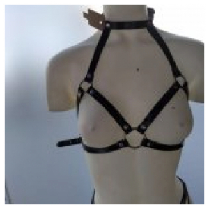 Arnes con Collar de Charol