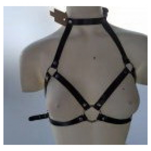 Arnes con Collar de Charol