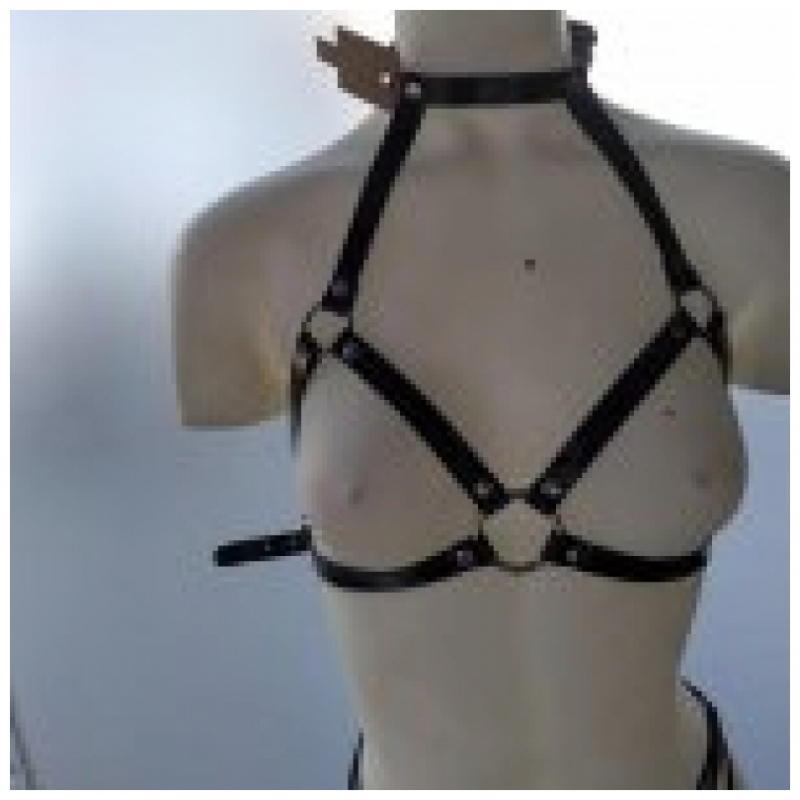 Arnes con Collar de Charol