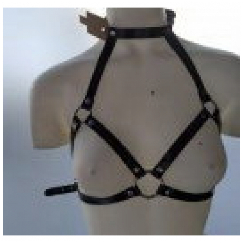 Arnes con Collar de Charol